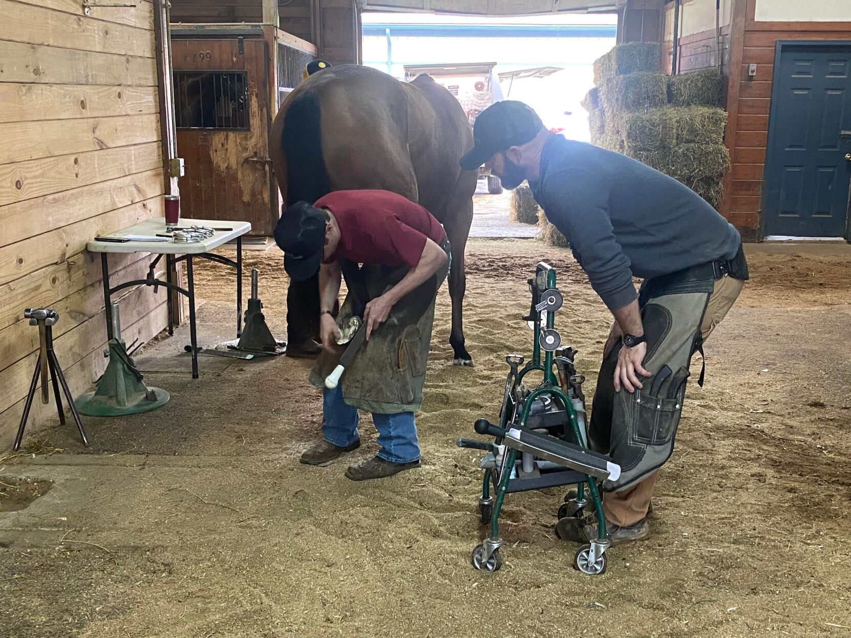 Nate gets ready to file the hoof